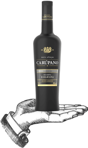 Hand illustration